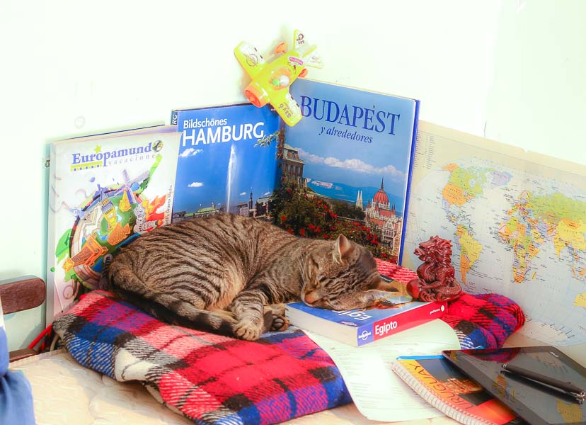 La gata Jerry durmiendo sobre mapas, libros y apuntes de viaje.