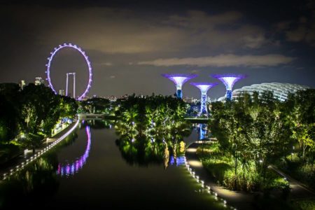 Guía: Qué ver en Singapur. De noche en los Gardens By The Bay mirando a los Groove Trees y la Singapore Flyer Wheel