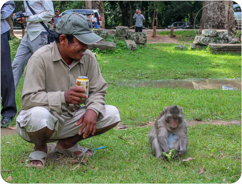 Camboyano disfrutando una Angkor Beer en Angkor Wat junto a un mono