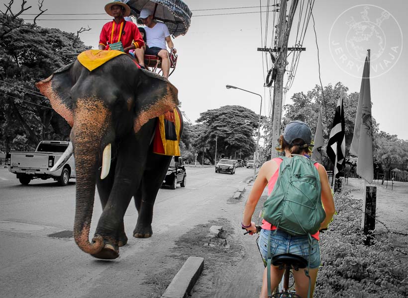 Dos turismos diferentes, unos alquilan para ir en bicicleta, otros para viajar a lomos de un elefante.
