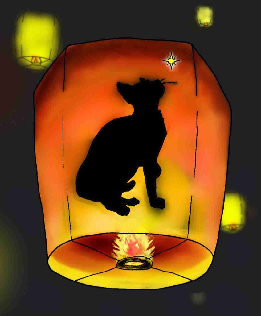 Dibujo. Silueta de un gato, Jerry, en la linterna de papel khom loi sobrevolando la noche.