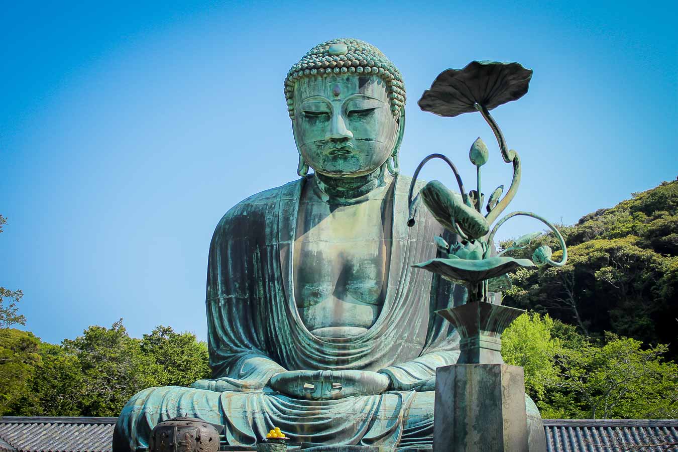 Guia que ver en kamakura. Gran Buda de Kamakura , Templo Kotoku in, Japón