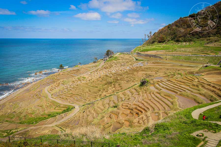 Terrazas de arroz Senmaida, Peninsula de Noto, Japon