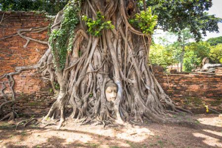 Guía: Qué ver en Ayutthaya. Wat Mahathat, Ayutthaya, Tailandia