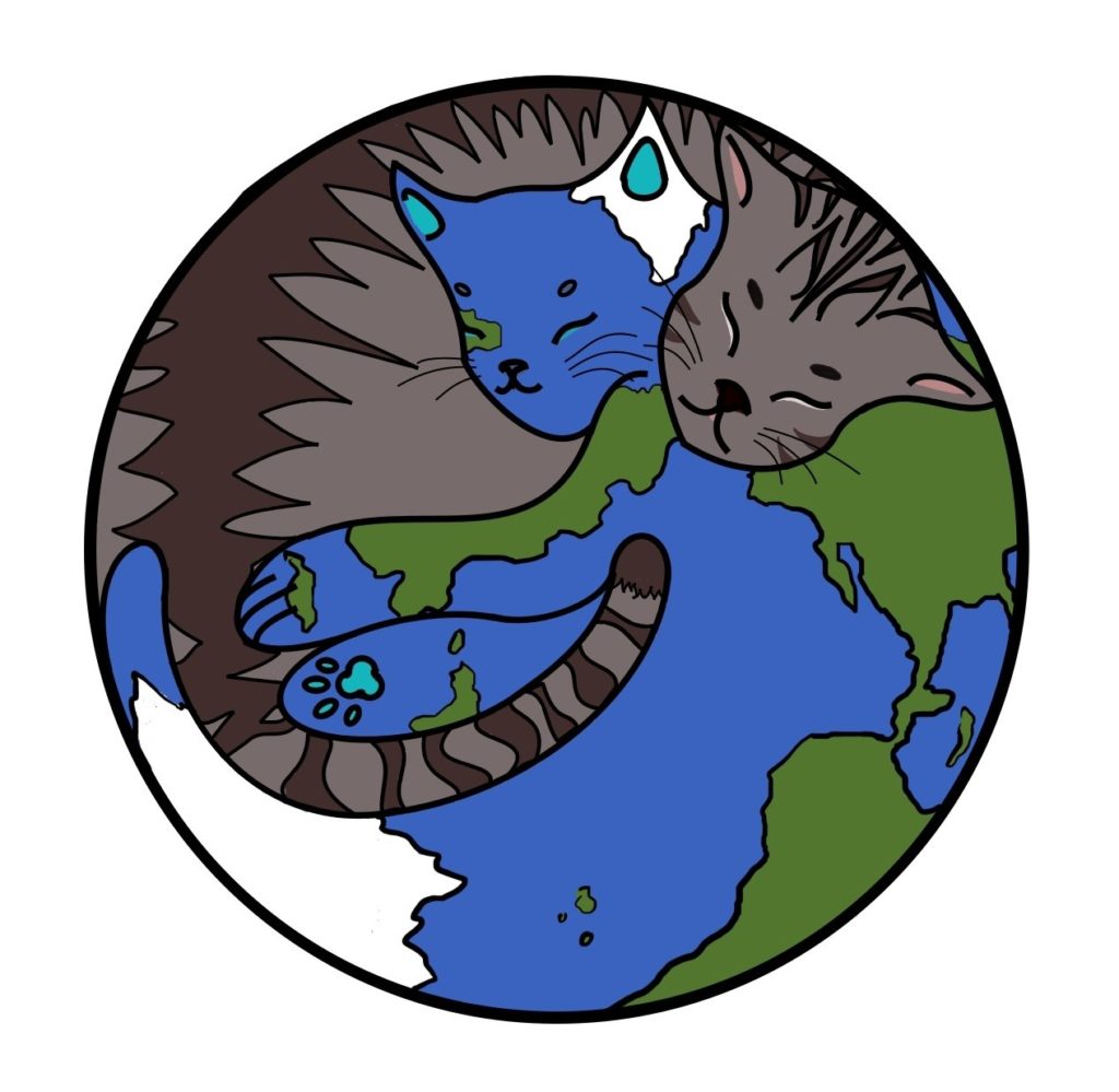 mundo gatos jerry viaja