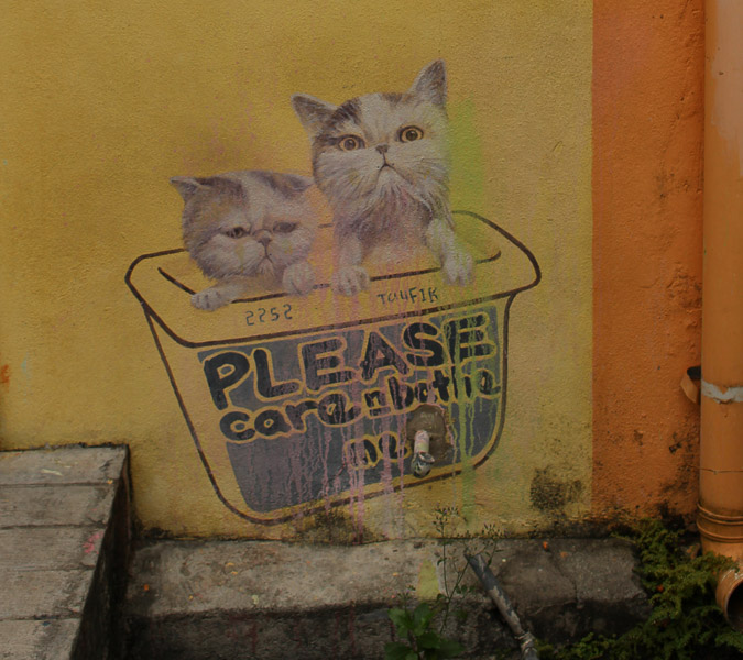 jv malasia penang gatos, adoptar