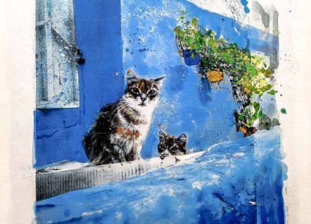 gatos en el islam, pintura de gatos en asilah, marruecos