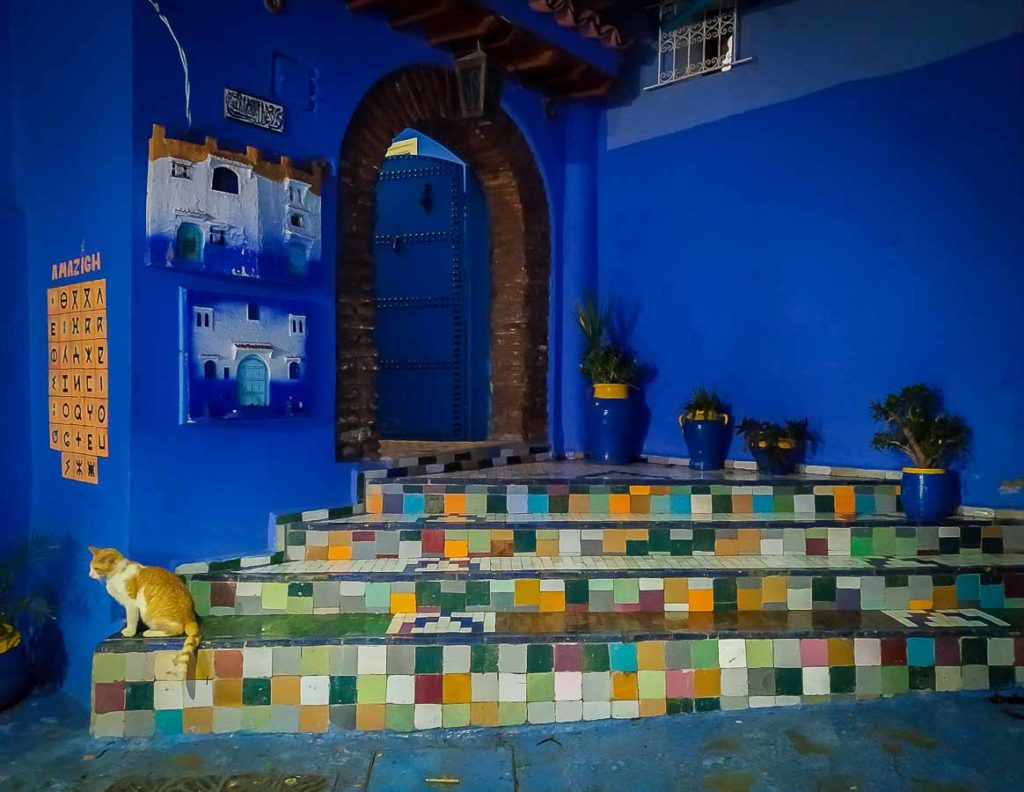Gatos, Marruecos