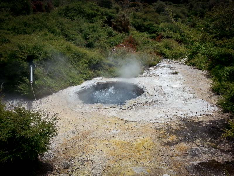 Pozo natural de agua hirviendo en Te Puia