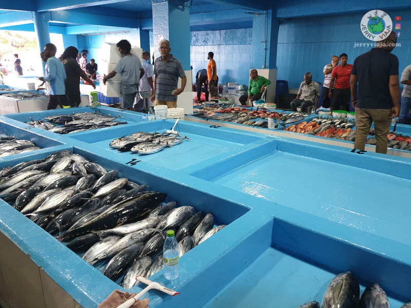 Mercado de Pescado (Fish Market) de Male, capital de Maldives Island